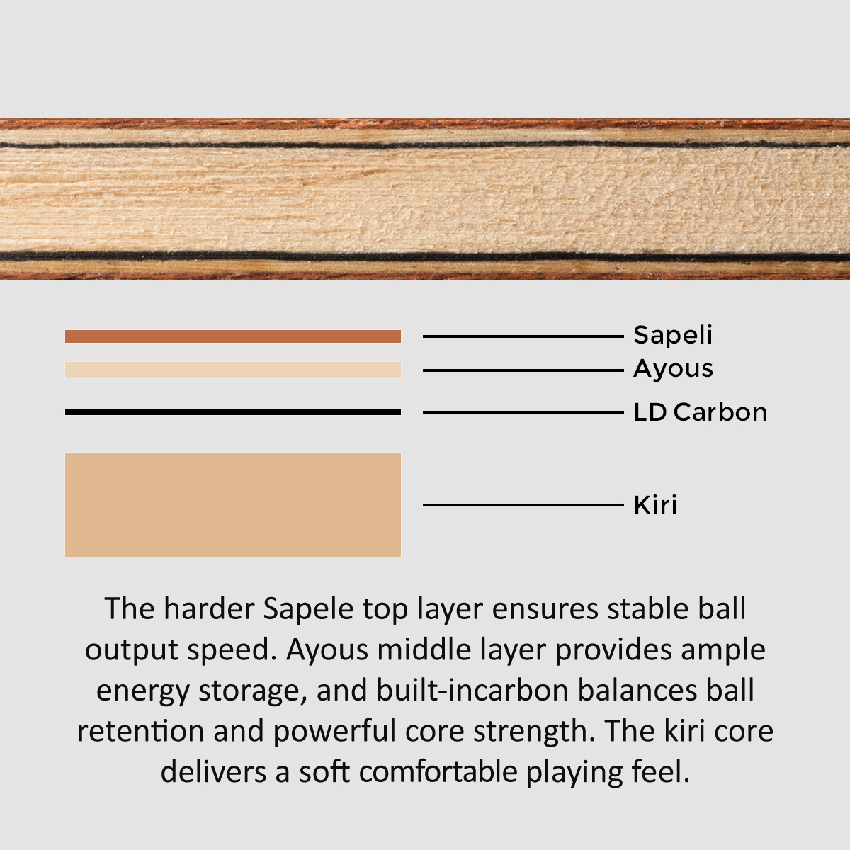 SANWEI TOKSPIN Sapele Carbon T - Table Tennis Custom Bat ulasan dan harga