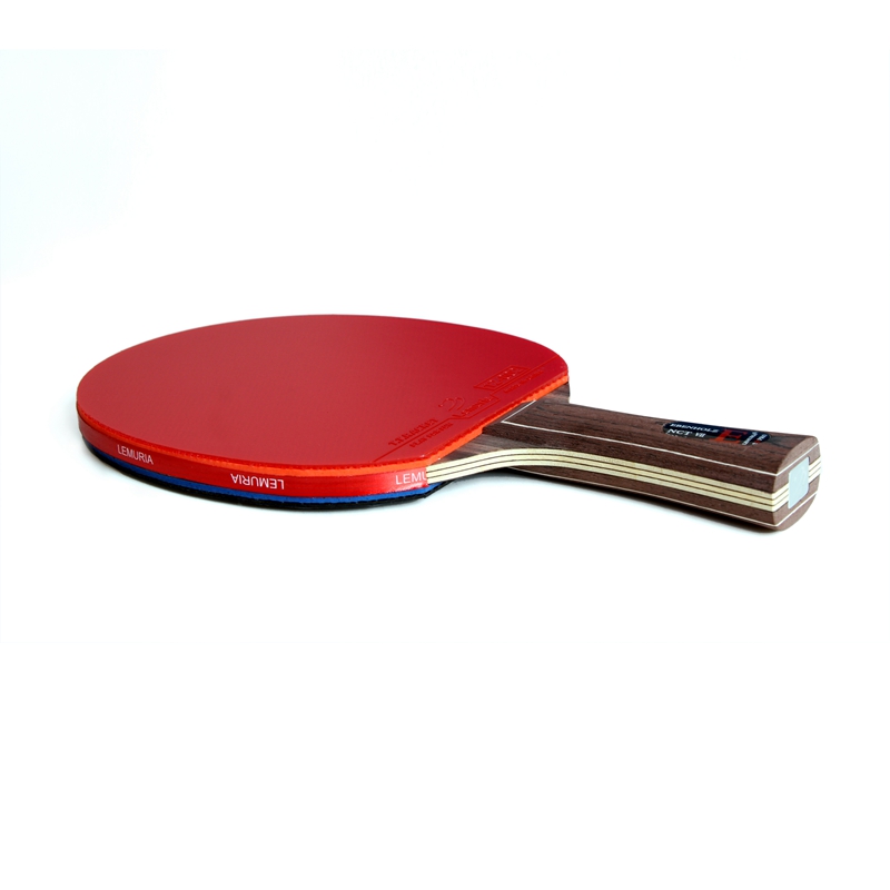 Lemuria EBENHOLZ-Table Tennis  - Table Tennis Forehand Rubber ulasan dan harga